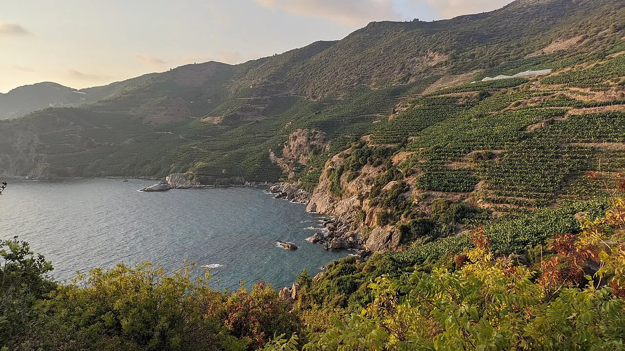 Gazipaşa