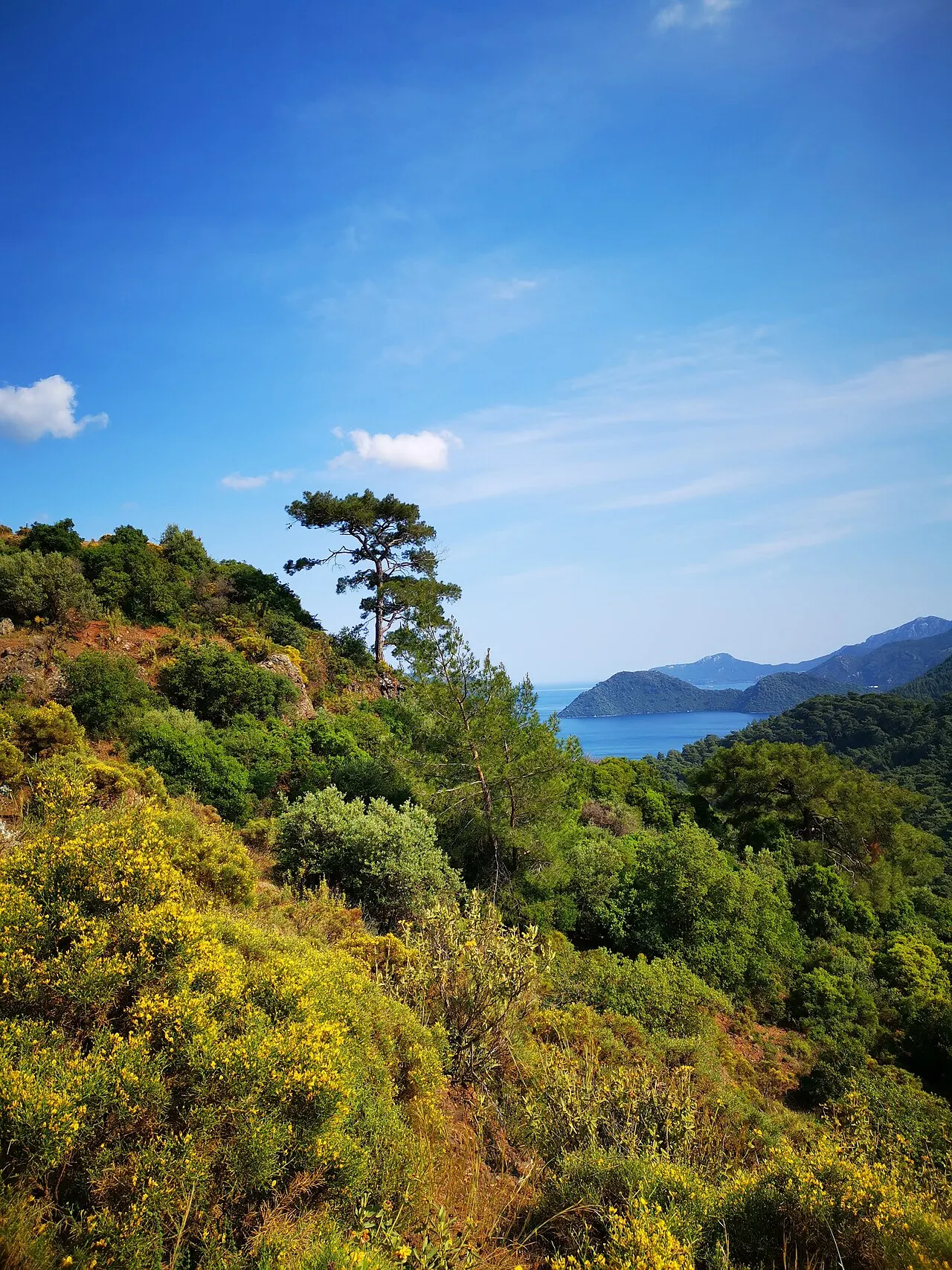 Marmaris