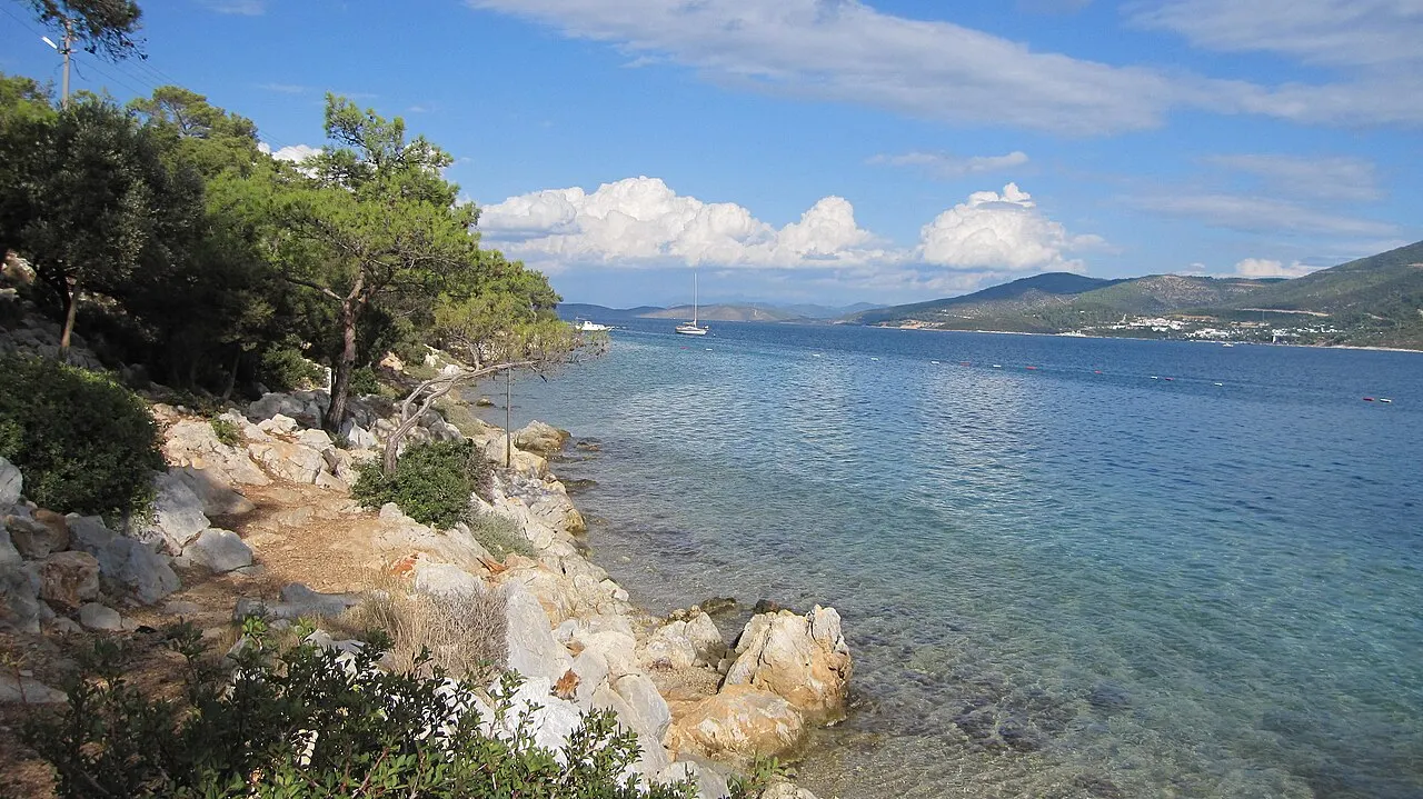Torba