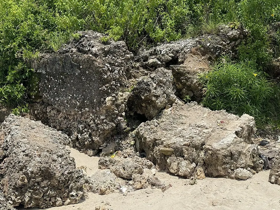 Unguja Ukuu
