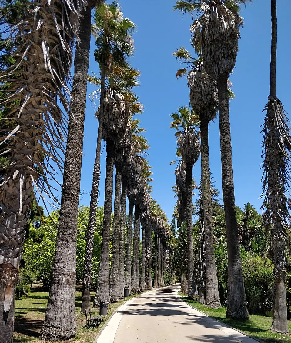 Jardim Botânico Tropical