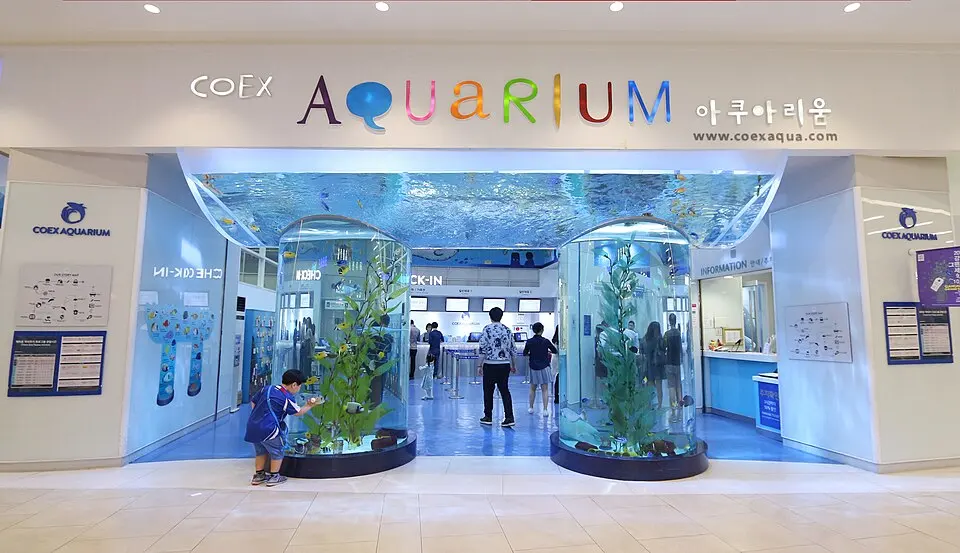 Acuario del COEX