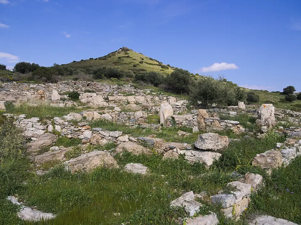 Thoricus