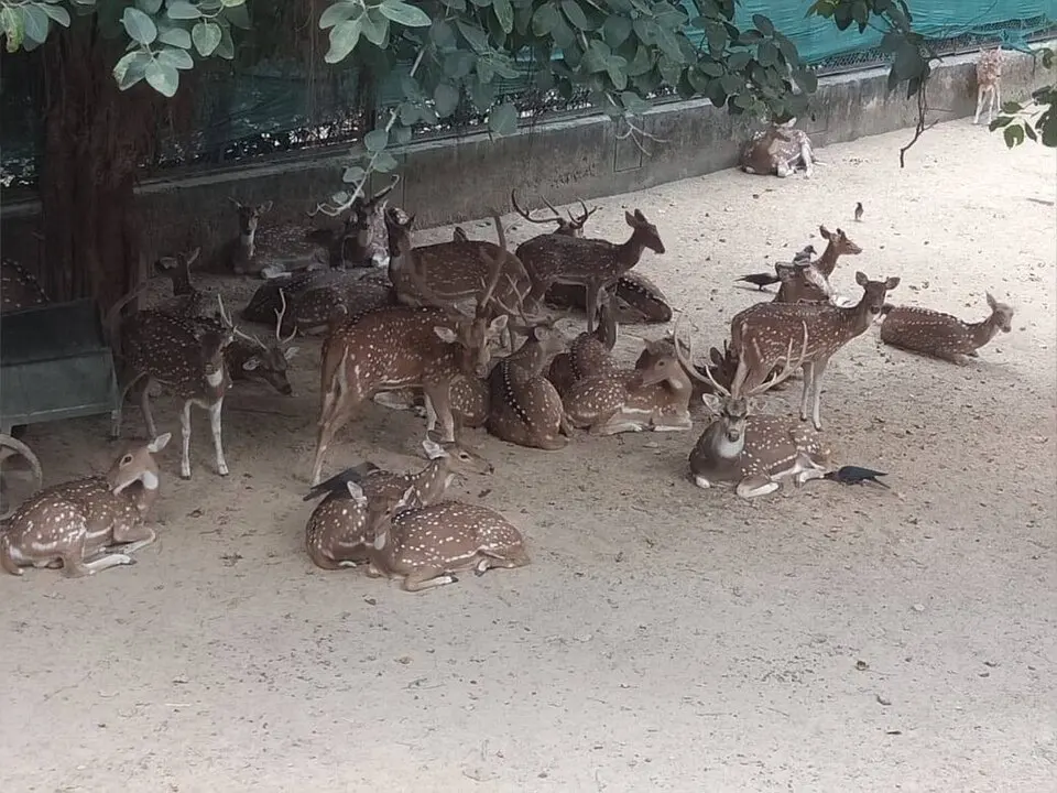 Deer Park