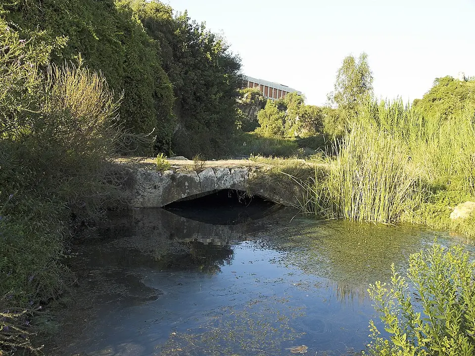 Arapsu Bridge