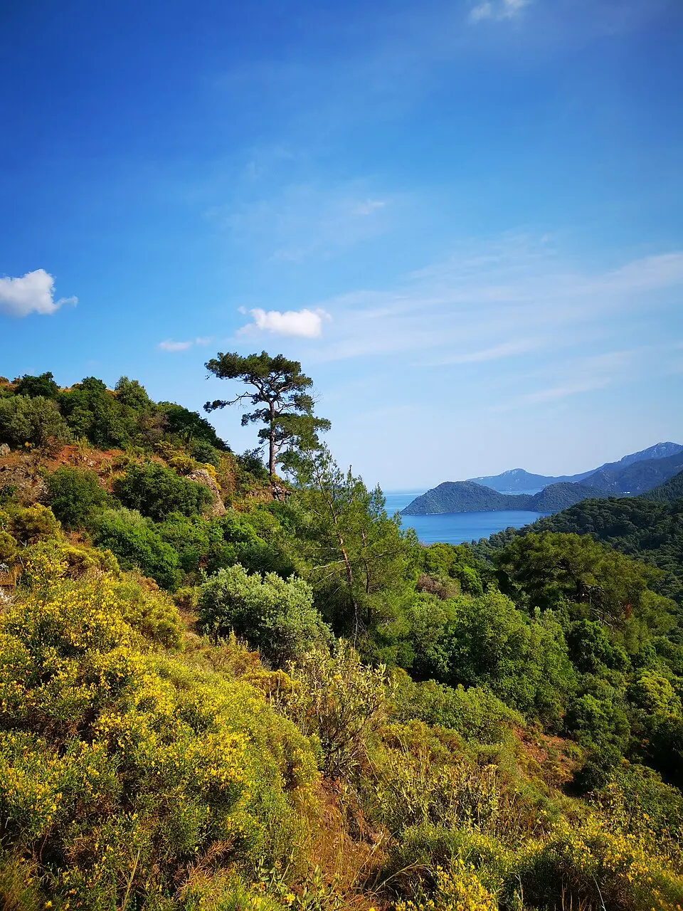 Marmaris National Park